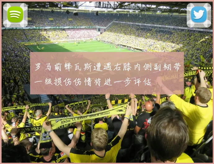 罗马前锋瓦斯遭遇右膝内侧副韧带一级损伤伤情将进一步评估
