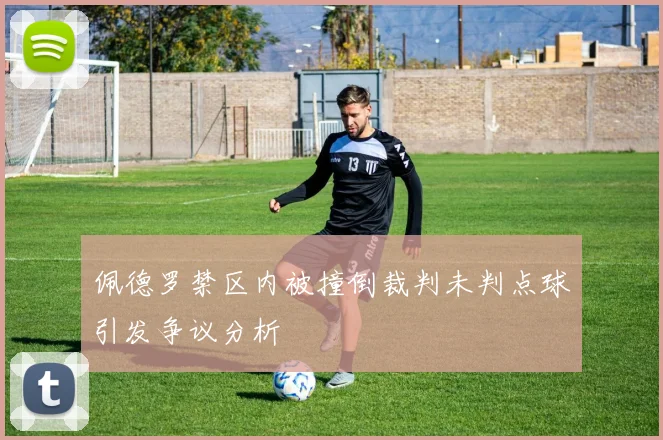 佩德罗禁区内被撞倒裁判未判点球引发争议分析